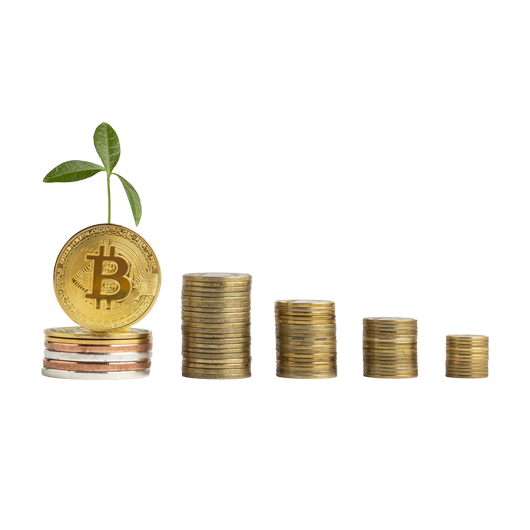 PIPWISE crypto market