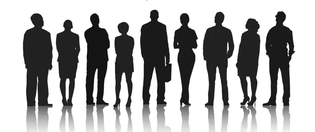 about PIPWISE company